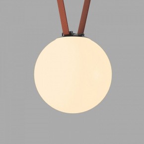 Накладной светильник Denkirs Belty Orb DK5555-BK в Лысьве - lysva.ok-mebel.com | фото 2