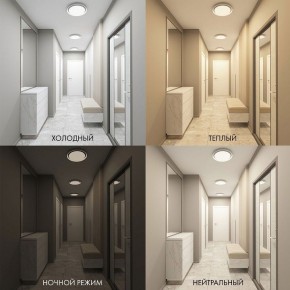 Накладной светильник Denkirs Cany DK6516-WH в Лысьве - lysva.ok-mebel.com | фото 2