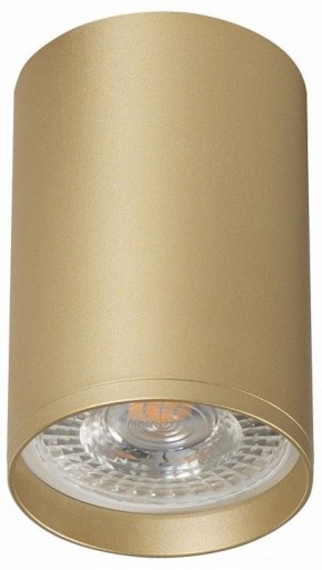 Накладной светильник Denkirs Tube DK2050-SG в Лысьве - lysva.ok-mebel.com | фото