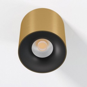 Накладной светильник Elektrostandard Primo 25116/LED в Лысьве - lysva.ok-mebel.com | фото 2