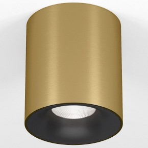 Накладной светильник Elektrostandard Primo 25116/LED в Лысьве - lysva.ok-mebel.com | фото 2