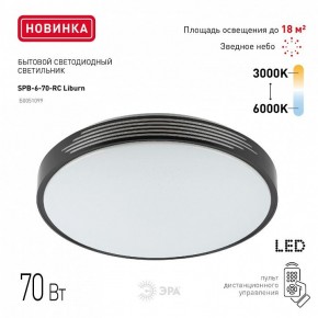 Накладной светильник Эра Классик SPB-6-70-RC Liburn в Лысьве - lysva.ok-mebel.com | фото 10