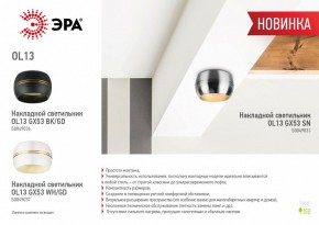 Накладной светильник Эра OL13 GX53 SN Б0049031 в Лысьве - lysva.ok-mebel.com | фото 5