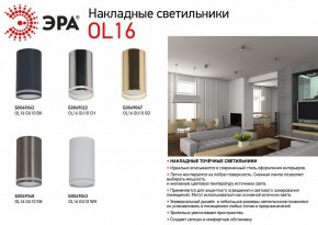 Накладной светильник Эра OL16 GU10 BK Б0049042 в Лысьве - lysva.ok-mebel.com | фото 3