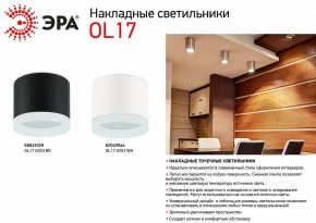 Накладной светильник Эра OL17 GX53 BK Б0049028 в Лысьве - lysva.ok-mebel.com | фото 3