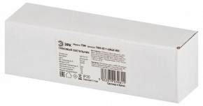 Накладной светильник Эра  TRM-S5-1-6W4K-WH в Лысьве - lysva.ok-mebel.com | фото 6