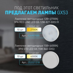 Накладной светильник Эра WL40 BK Б0054414 в Лысьве - lysva.ok-mebel.com | фото 4