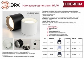 Накладной светильник Эра WL40 WH Б0054415 в Лысьве - lysva.ok-mebel.com | фото 3