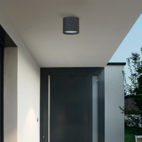 Накладной светильник Favourite Fantum 4663-1U в Лысьве - lysva.ok-mebel.com | фото 3