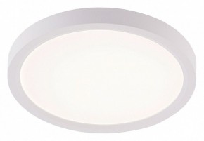 Накладной светильник Natali Kovaltseva PLAIN LED LAMPS 81113/1C в Лысьве - lysva.ok-mebel.com | фото