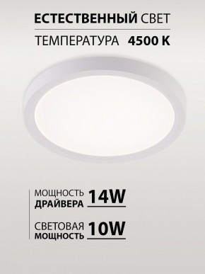 Накладной светильник Natali Kovaltseva PLAIN LED LAMPS 81113/1C в Лысьве - lysva.ok-mebel.com | фото 4