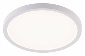 Накладной светильник Natali Kovaltseva PLAIN LED LAMPS 81113/2C в Лысьве - lysva.ok-mebel.com | фото