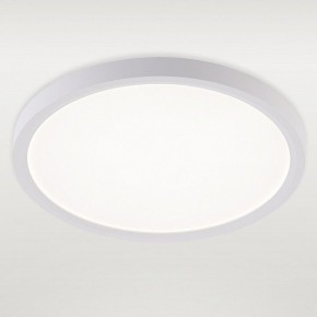 Накладной светильник Natali Kovaltseva PLAIN LED LAMPS 81113/2C в Лысьве - lysva.ok-mebel.com | фото 2