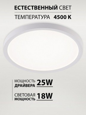 Накладной светильник Natali Kovaltseva PLAIN LED LAMPS 81113/2C в Лысьве - lysva.ok-mebel.com | фото 3