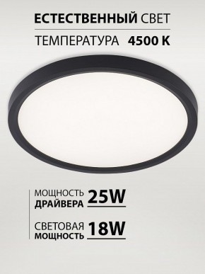Накладной светильник Natali Kovaltseva PLAIN LED LAMPS 81114/2C в Лысьве - lysva.ok-mebel.com | фото 3