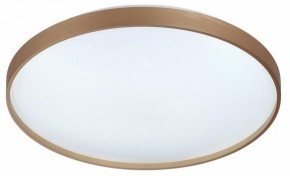 Накладной светильник Sonex Gaby 7783/EL в Лысьве - lysva.ok-mebel.com | фото 4