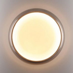 Накладной светильник Sonex PORTMAN 7777/DLN в Лысьве - lysva.ok-mebel.com | фото 6
