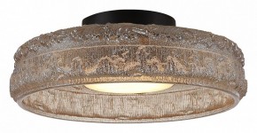 Накладной светильник ST-Luce ANTIKE SL6143.422.01 в Лысьве - lysva.ok-mebel.com | фото 3