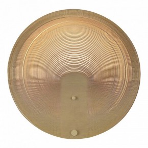 Накладной светильник ST-Luce Fossil SL6900.501.16 в Лысьве - lysva.ok-mebel.com | фото 2