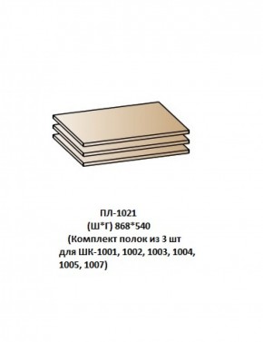 ПЛ-1021 (Комплект полок из 3 шт для ШК-1001, 1002, 1003, 1004, 1005, 1007) в Лысьве - lysva.ok-mebel.com | фото