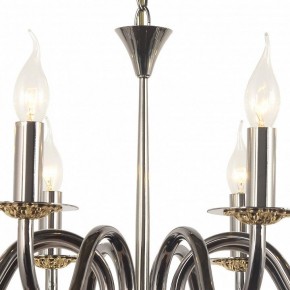 Подвесная люстра Arti Lampadari Pontone Pontone E 1.1.8 PB в Лысьве - lysva.ok-mebel.com | фото 3
