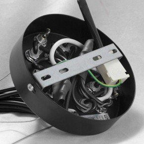 Подвесная люстра Lussole Seneca GRLSP-8177 в Лысьве - lysva.ok-mebel.com | фото 10