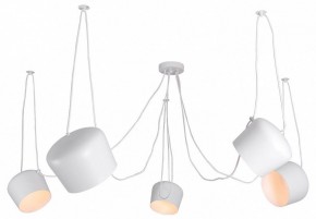 Подвесная люстра Lussole Shirley LSP-8175 в Лысьве - lysva.ok-mebel.com | фото