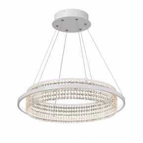 Подвесная люстра Vitaluce V5400 V5400-0/1S в Лысьве - lysva.ok-mebel.com | фото 2