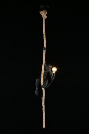 Подвесной светильник Aployt Magali APL.309.16.01 в Лысьве - lysva.ok-mebel.com | фото 3