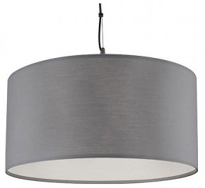 Подвесной светильник Arte Lamp Coppa A4095SP-3GY в Лысьве - lysva.ok-mebel.com | фото