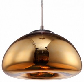 Подвесной светильник Arte Lamp Swift A8041SP-1GO в Лысьве - lysva.ok-mebel.com | фото