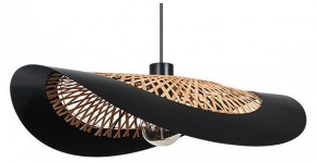 Подвесной светильник Arte Lamp Woodstock A7059SP-1BK в Лысьве - lysva.ok-mebel.com | фото