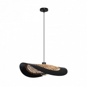 Подвесной светильник Arte Lamp Woodstock A7059SP-1BK в Лысьве - lysva.ok-mebel.com | фото 2