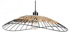 Подвесной светильник Arte Lamp Woodstock A7061SP-1BK в Лысьве - lysva.ok-mebel.com | фото