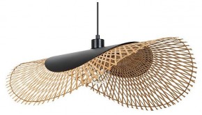 Подвесной светильник Arte Lamp Woodstock A7063SP-1BK в Лысьве - lysva.ok-mebel.com | фото