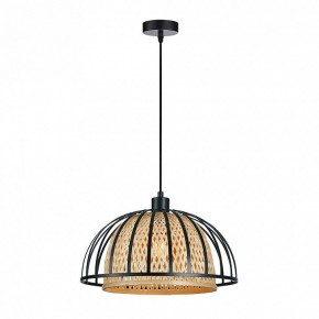 Подвесной светильник Arte Lamp Woodstock A7071SP-1BK в Лысьве - lysva.ok-mebel.com | фото
