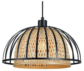 Подвесной светильник Arte Lamp Woodstock A7071SP-1BK в Лысьве - lysva.ok-mebel.com | фото 2