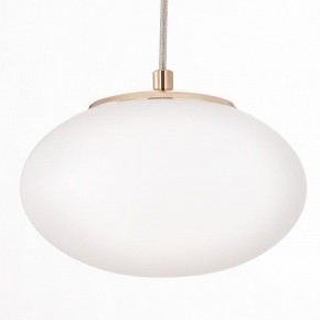 Подвесной светильник Citilux Atman Smart CL226A053 в Лысьве - lysva.ok-mebel.com | фото 10