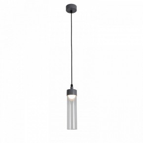 Подвесной светильник Favourite Outdoor 4703-1P в Лысьве - lysva.ok-mebel.com | фото 3