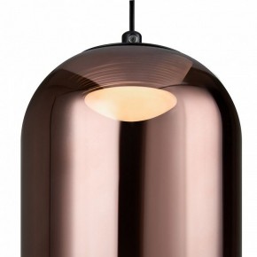 Подвесной светильник Freya Idol FR6134PL-L4C в Лысьве - lysva.ok-mebel.com | фото 5