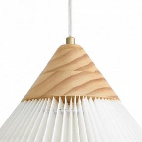 Подвесной светильник Freya Kinsley FR5533PL-01BS в Лысьве - lysva.ok-mebel.com | фото 8