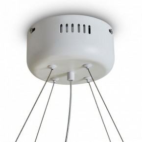 Подвесной светильник Freya Rain FR5546PL-L60W в Лысьве - lysva.ok-mebel.com | фото 9