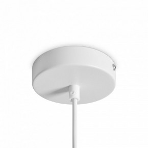 Подвесной светильник Freya Shapes FR5530PL-L10W в Лысьве - lysva.ok-mebel.com | фото 5