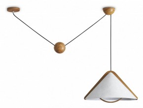 Подвесной светильник Freya Umbra FR5554CL-01T в Лысьве - lysva.ok-mebel.com | фото