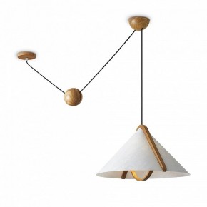 Подвесной светильник Freya Umbra FR5554CL-01T в Лысьве - lysva.ok-mebel.com | фото 2