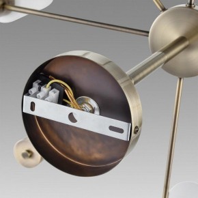 Подвесной светильник Lumion Mave 8100/8C в Лысьве - lysva.ok-mebel.com | фото 6