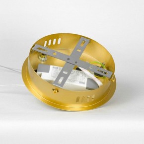Подвесной светильник Lussole Benton LSP-7339 в Лысьве - lysva.ok-mebel.com | фото 8