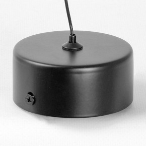 Подвесной светильник Lussole Blount LSP-7356 в Лысьве - lysva.ok-mebel.com | фото 6