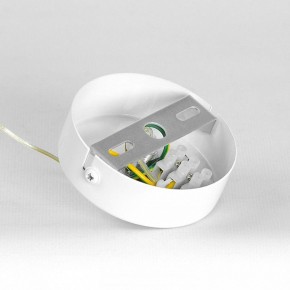 Подвесной светильник Lussole Gregg LSP-8963 в Лысьве - lysva.ok-mebel.com | фото 7