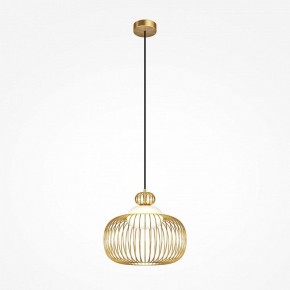 Подвесной светильник Maytoni Levitation MOD376PL-01G в Лысьве - lysva.ok-mebel.com | фото 2